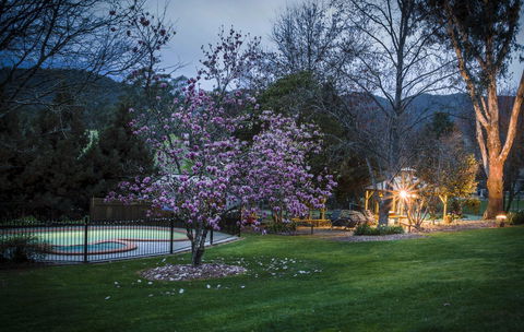 Bright Mystic Valley - Accommodation in Bendigo 26
