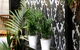 The George Boutique Hotel - thumb 3
