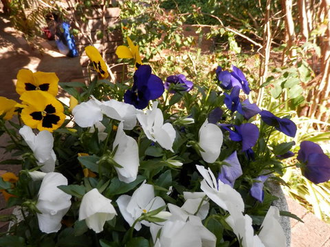 The Hideaway Luxury B&B Retreat - Accommodation in Bendigo 1