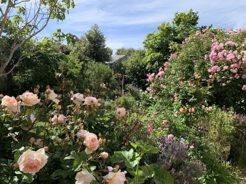 The Racecourse Inn - Accommodation in Bendigo 2