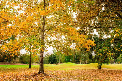 The Retreat At Wisemans - Accommodation in Bendigo 1