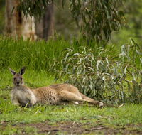 The Stirling Golf Club - Accommodation in Bendigo