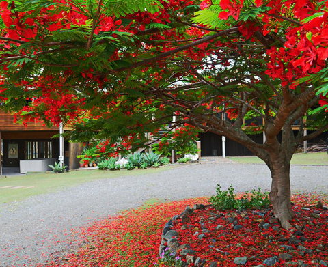 TRANQUILO BEACH HOUSE - Accommodation in Bendigo 2