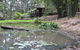 Turmeric Gardens - thumb 3