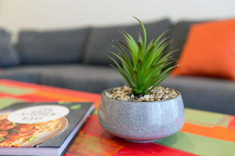 Urban Jungle! Executive Apartment In Heart Of CBD - Accommodation in Bendigo 1