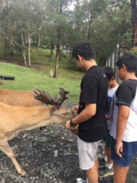 Villa Cervi Property - Accommodation in Bendigo 3