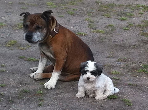 Walcha Royal Cafe & Accommodation - Accommodation in Bendigo 3