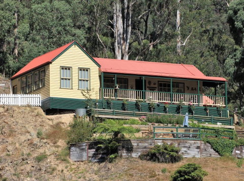 Walhalla Wild Cherry - Accommodation in Bendigo 0