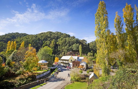 Walhalla's Star Hotel - Accommodation in Bendigo 0
