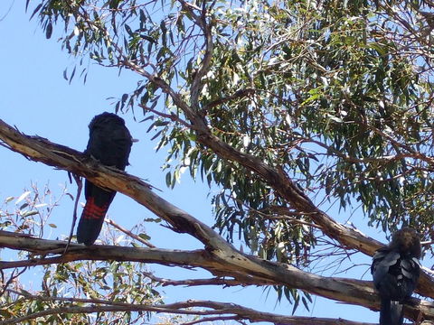 Wanderers Rest Of Kangaroo Island - Accommodation in Bendigo 2