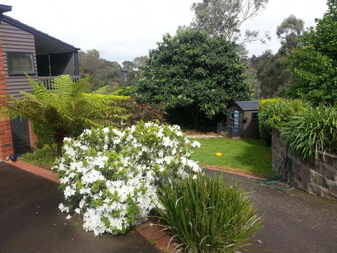 Warrandyte Retreat Guest House - Accommodation in Bendigo 0