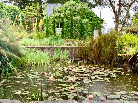 Waterhouse - Accommodation in Bendigo 1