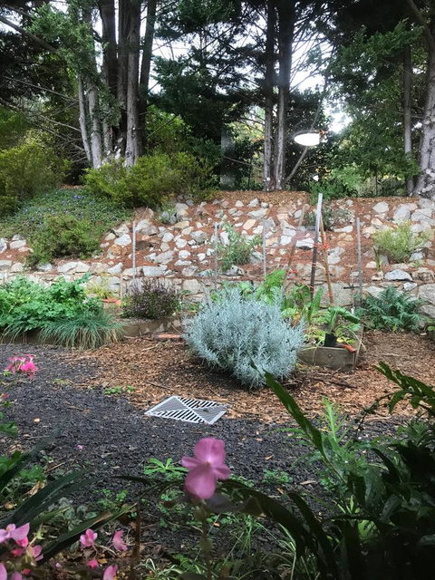 Alpine Aspects - Accommodation in Bendigo 11