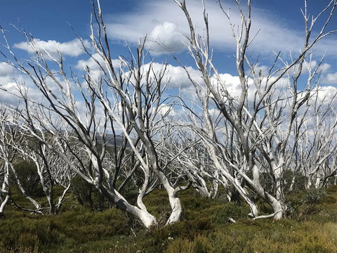 Alpine Aspects - Accommodation in Bendigo 37