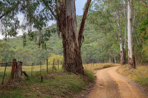 Alpine Aspects - Accommodation in Bendigo 10