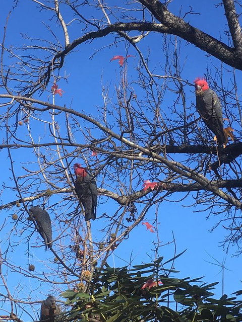 Alpine Aspects - Accommodation in Bendigo 17