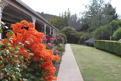 Alpine Aspects - Accommodation in Bendigo 34