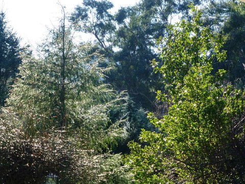 Alpine Aspects - Accommodation in Bendigo 8