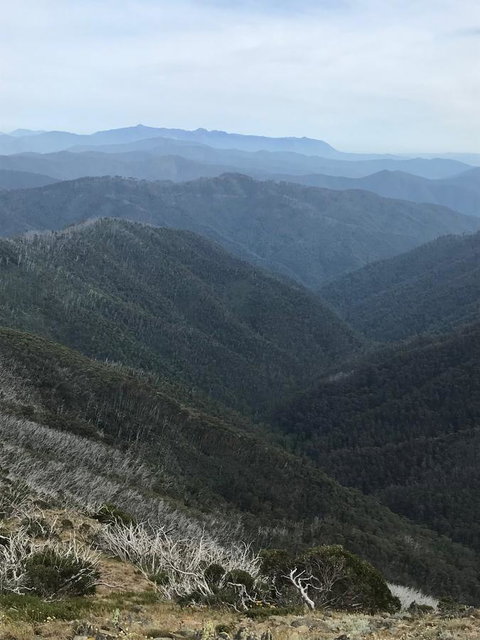 Alpine Aspects - Accommodation in Bendigo 9