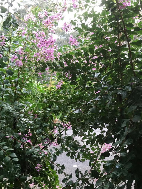 Alpine Aspects - Accommodation in Bendigo 19