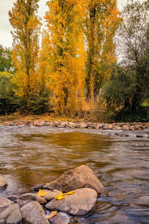 Alpine Aspects - Accommodation in Bendigo 6