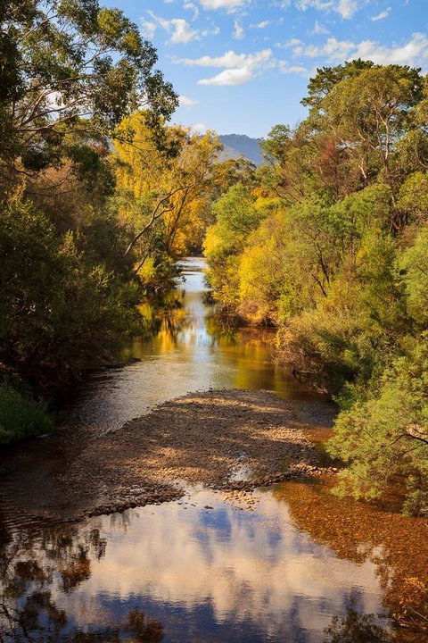Alpine Aspects - Accommodation in Bendigo 31