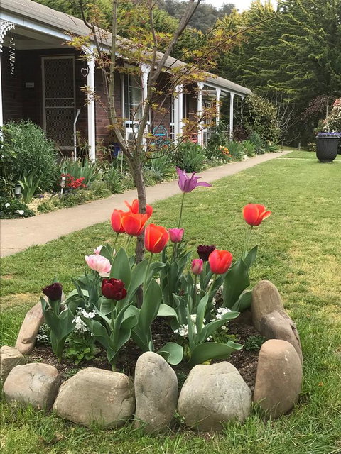 Alpine Aspects - Accommodation in Bendigo 7