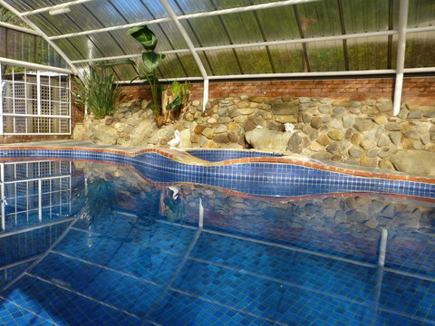 Alpine Aspects - Accommodation in Bendigo 39