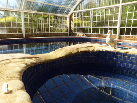 Alpine Aspects - Accommodation in Bendigo 38