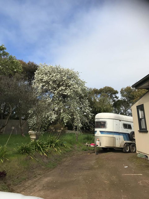 Hillâ€™s Creek Holiday Home - Accommodation in Bendigo 6