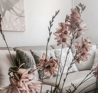 Bed of Roses - Accommodation in Bendigo