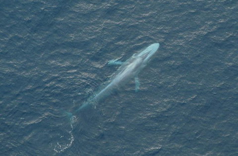 Cape Nelson Lighthouse - Accommodation in Bendigo 39