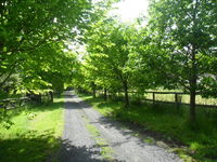 Book Wonga Park Accommodation Vacations Accommodation in Bendigo Accommodation in Bendigo