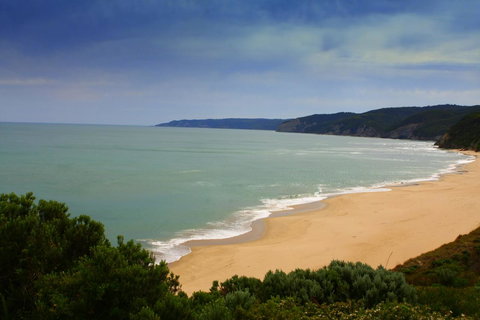 Johanna Seaside Cottages - Accommodation in Bendigo 28