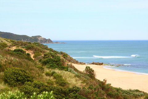 Johanna Seaside Cottages - Accommodation in Bendigo 27