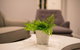 Astrina 2 Bed 2 Bath Apartment - thumb 4