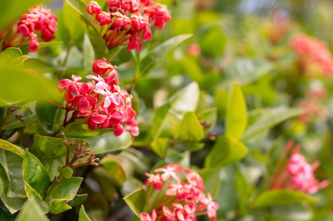 Sails On Horseshoe - Accommodation in Bendigo 23