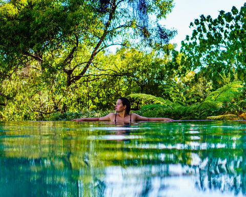 Rainbow Ocean Palms Resort - Accommodation in Bendigo 5