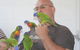 Amaroo On Mandalay, Magnetic Island - thumb 33