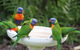 Amaroo On Mandalay, Magnetic Island - thumb 27