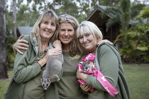 Airlie Beach Eco Cabins - Adults Only - Accommodation in Bendigo 23