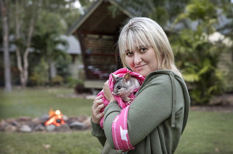 Airlie Beach Eco Cabins - Adults Only - Accommodation in Bendigo 31