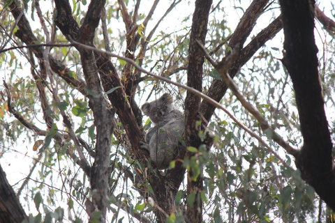 Granite Belt Retreat And Brewery - Accommodation in Bendigo 20