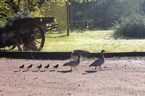 Granite Belt Retreat And Brewery - Accommodation in Bendigo 22