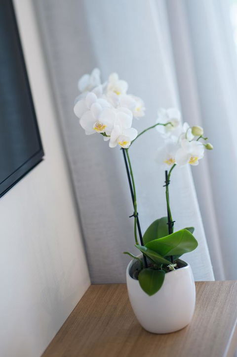 Heart Hotel And Gallery Whitsundays - Accommodation in Bendigo 28