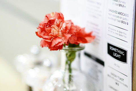 Madison Plaza Townsville - Accommodation in Bendigo 20