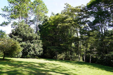 McCarthy Grove Maleny - Accommodation in Bendigo 2