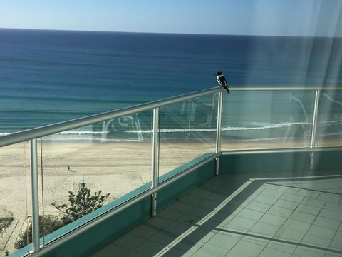 Ocean Plaza Resort - Accommodation in Bendigo 28