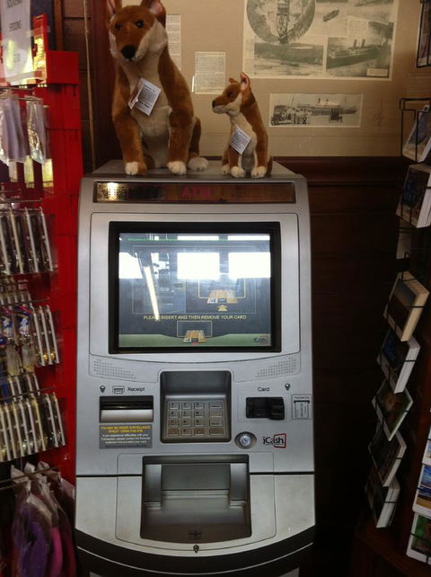 Fraser Island Retreat - Accommodation in Bendigo 33