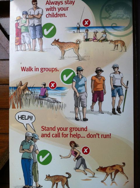 Fraser Island Retreat - Accommodation in Bendigo 31